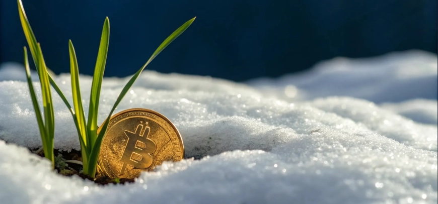 CIO Bitwise заявил, что текущая криптозима близится к завершению