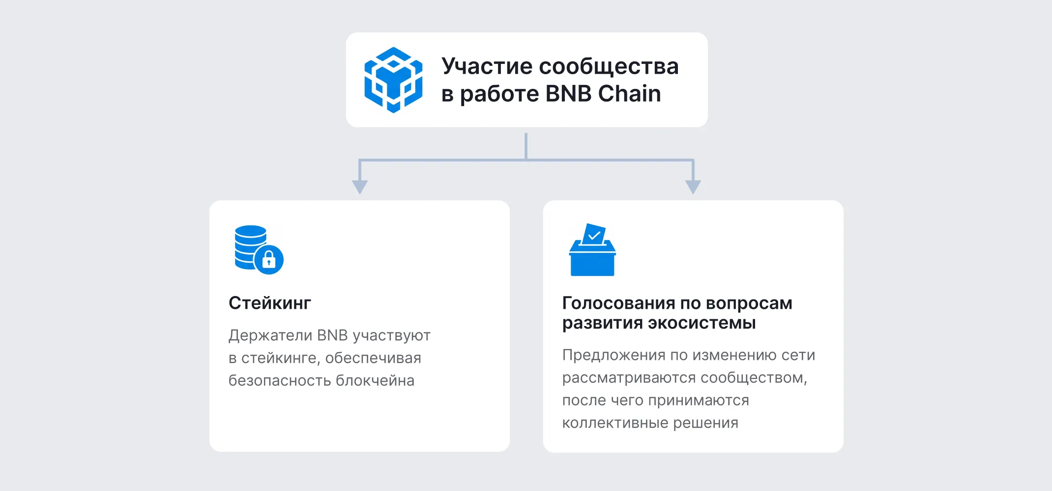 Описание функций сообщества в работе BNB Chain